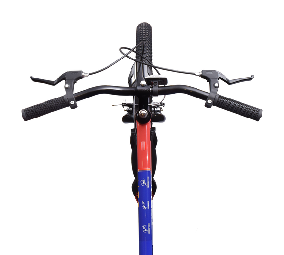 Hero Cycles Neo
